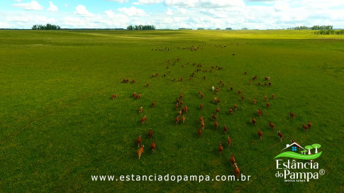 DOS EÓLICOS VIRA P FAZENDA_Moment.00_06_48_10.Quadro243_576c0e382240d3078bbeacd03d8953dfe95c3525.jpg